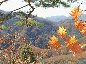 电商平台面试财务,电商平台面试财务问题